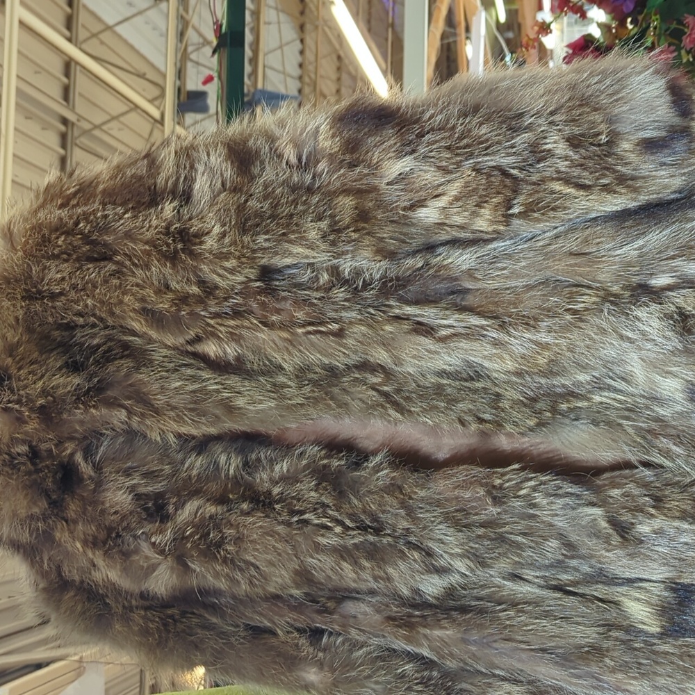 Coat - Picture 3 of 4